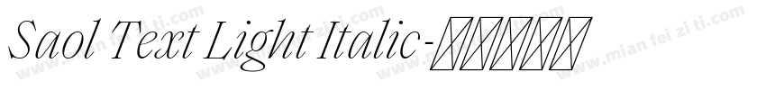 Saol Text Light Italic字体转换
